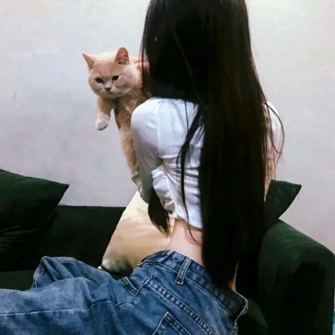 日影之下